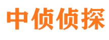 大方外遇调查取证